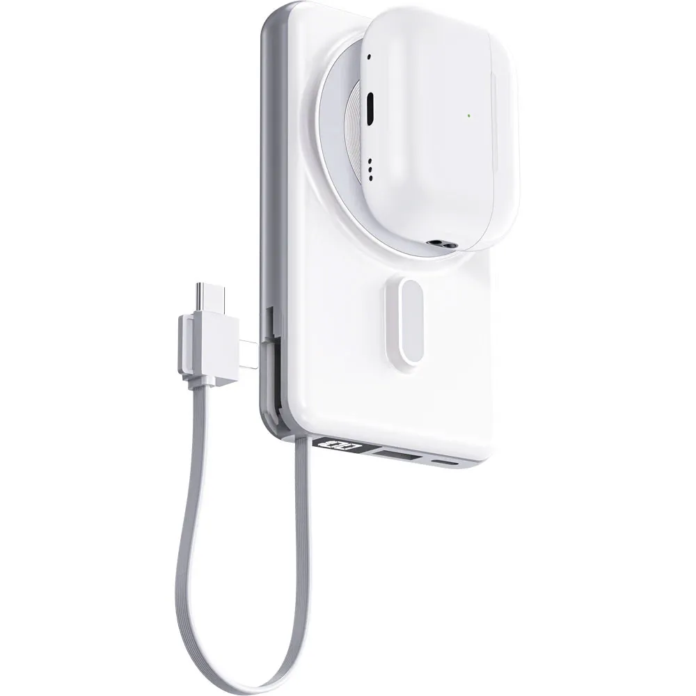 PWB-10 4 in 1 PowerBank