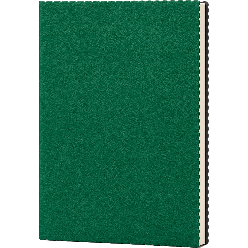 Erciyes Tarihsiz Defter