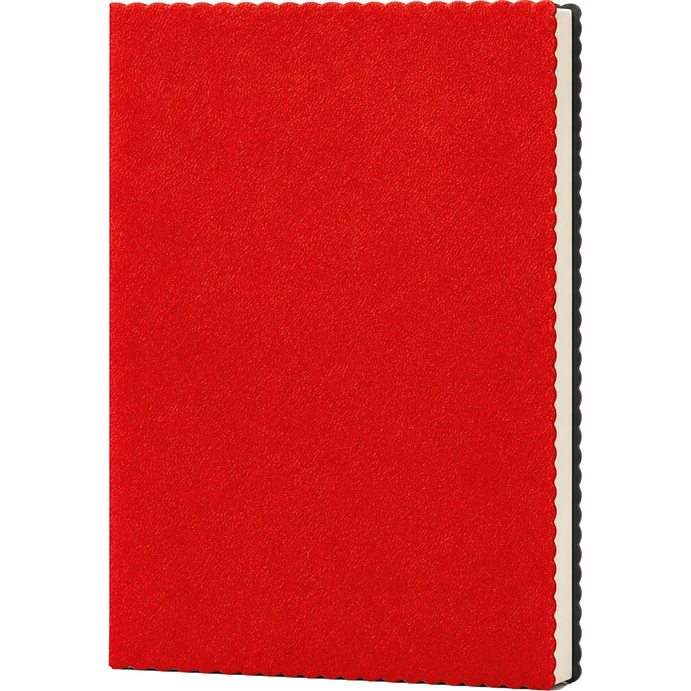 Erciyes Tarihsiz Defter