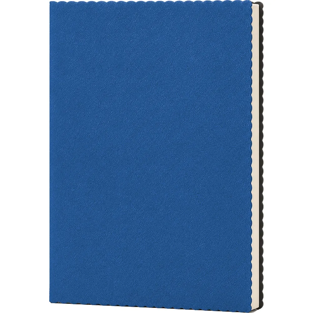 Erciyes Tarihsiz Defter