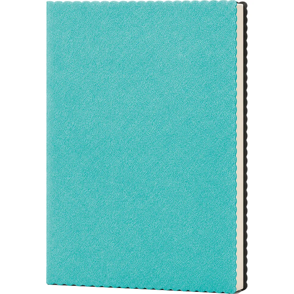 Erciyes Tarihsiz Defter