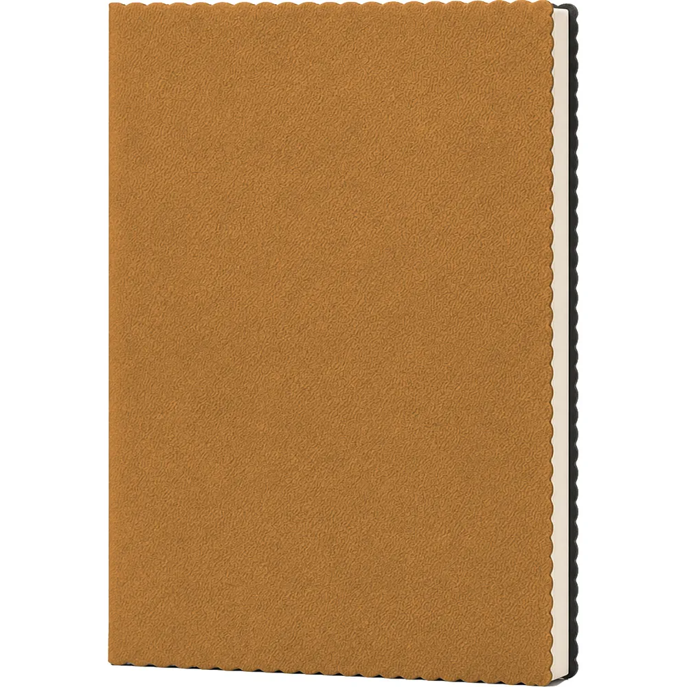 Erciyes Tarihsiz Defter